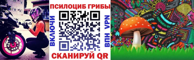 Псилоцибиновые грибы мицелий  где продают наркотики  Приморско-Ахтарск 